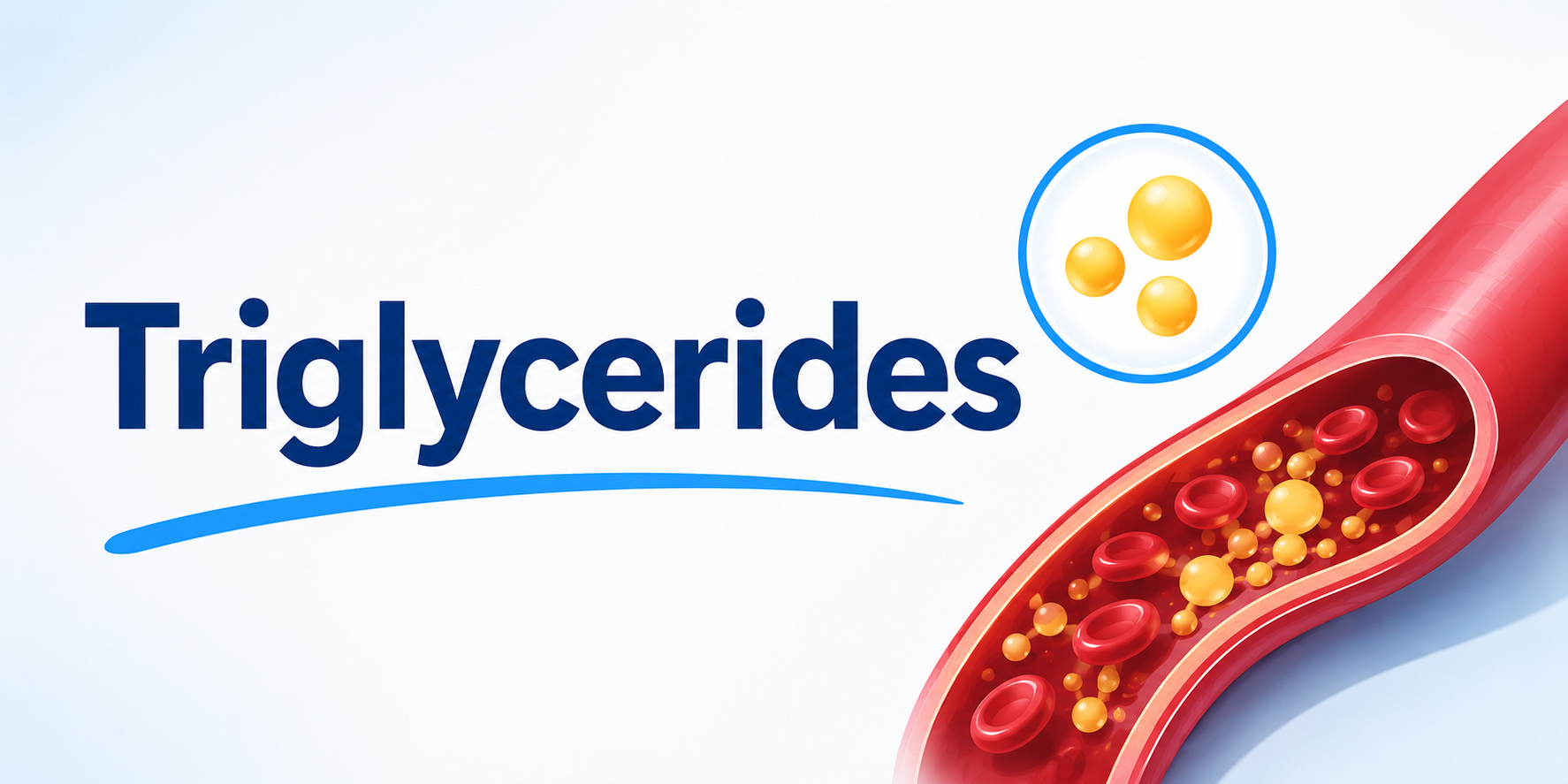 Triglycerides