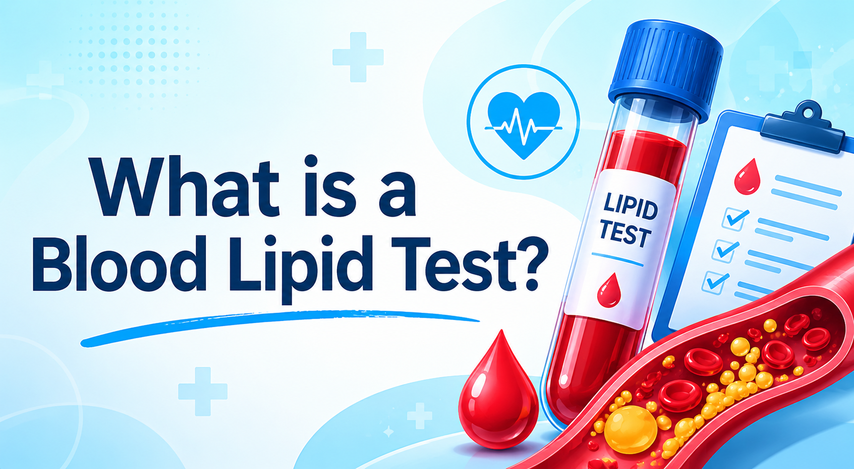 What is a Blood Lipid Test