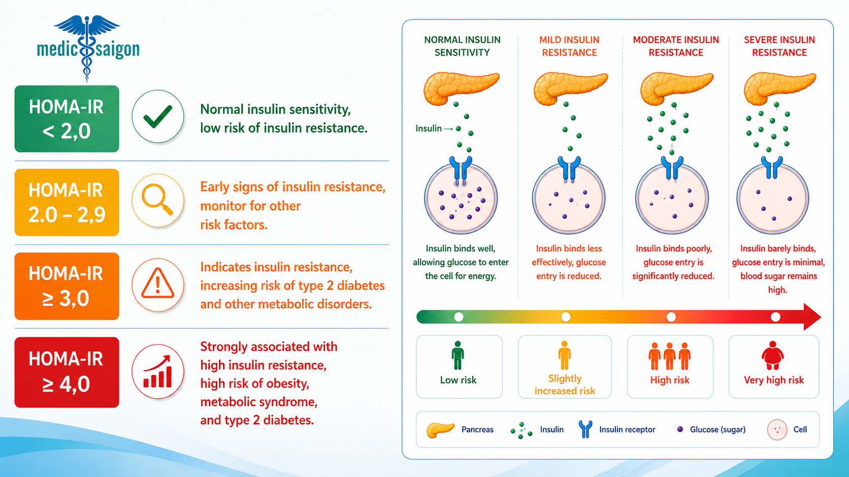 What HOMA-IR Level Is Considered High