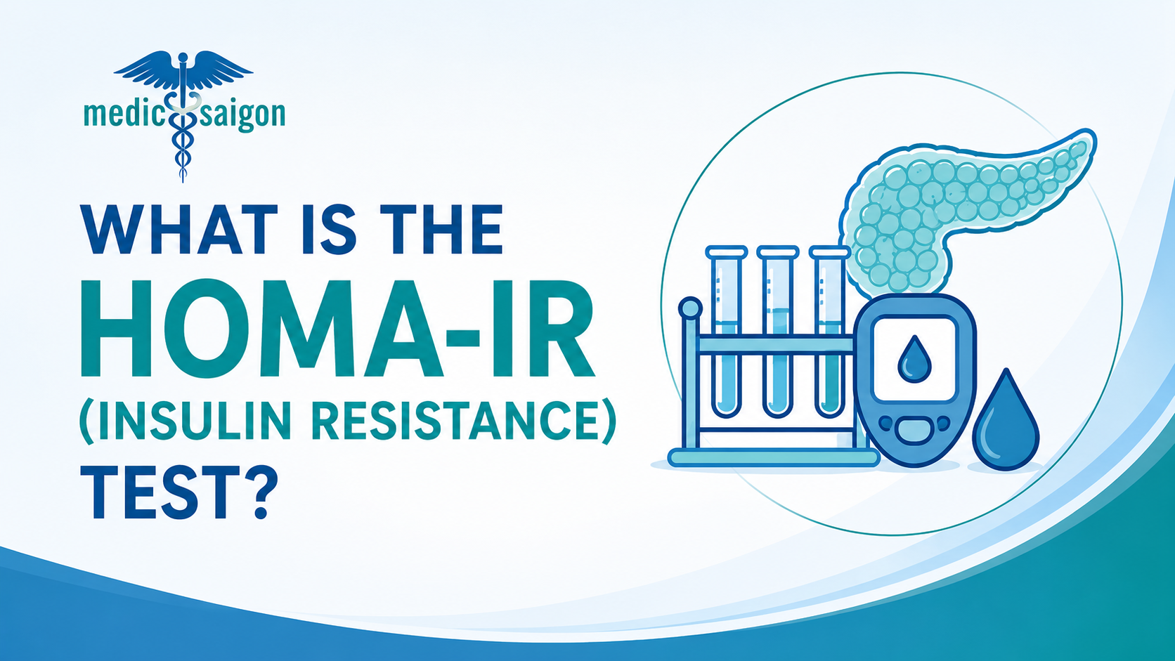 What is a HOMA-IR (Insulin Resistance) Test
