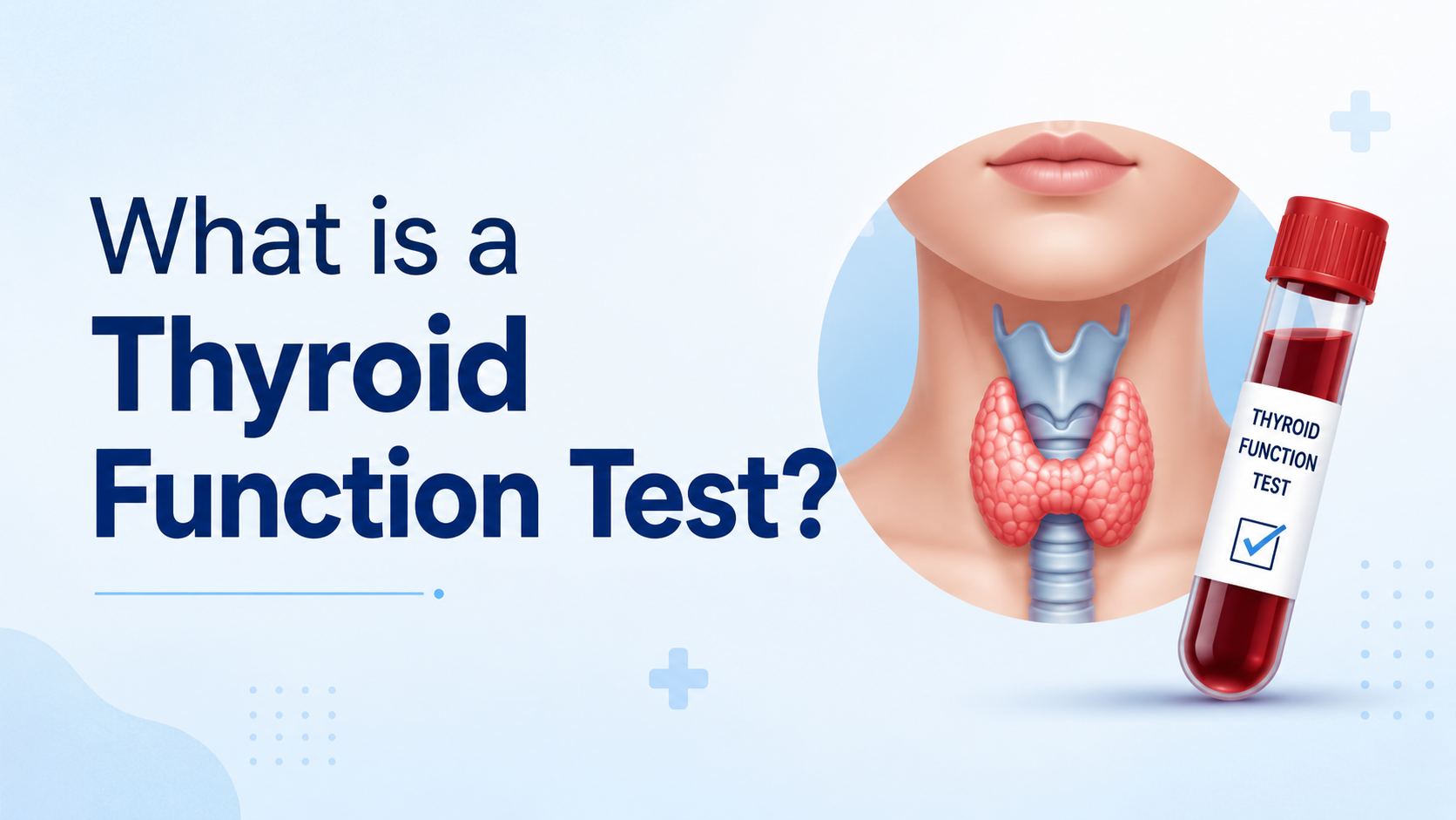 What is a thyroid function test