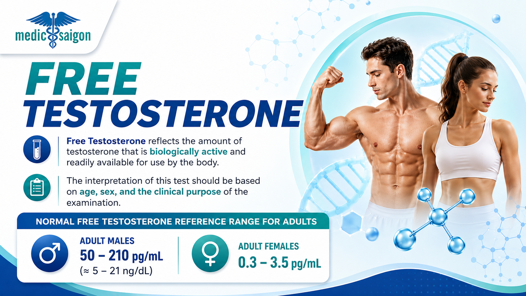 What Is a Normal Free Testosterone Level