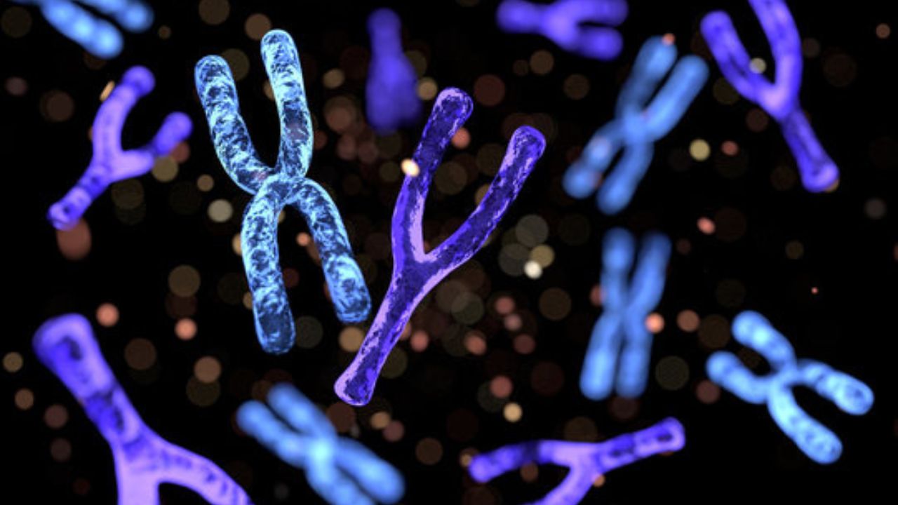 Xét nghiệm Karyotype nhiễm sắc thể đồ là gì