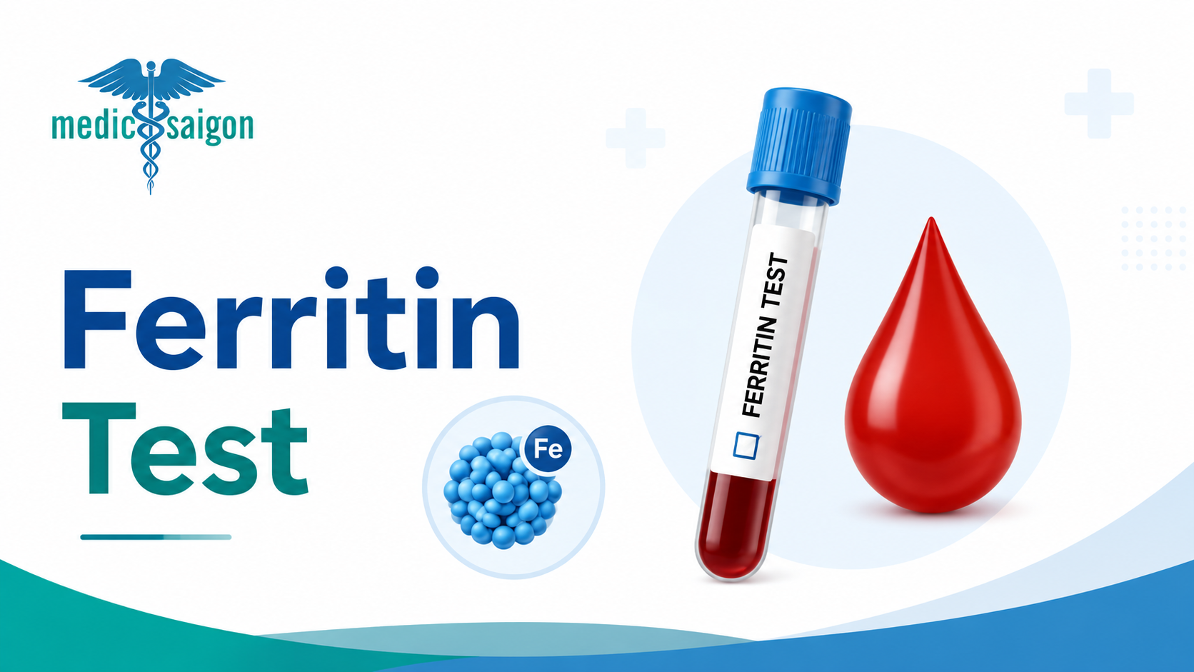 Ferritin and Serum Ferritin Test