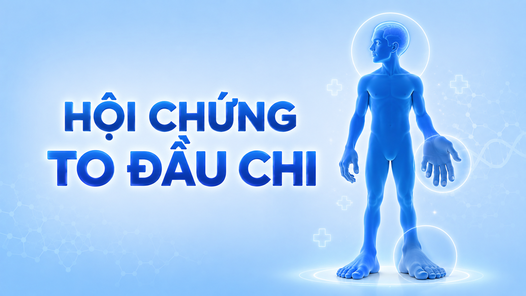 Hội chứng to đầu chi ở người lớn cho thừa hocmon tăng trưởng