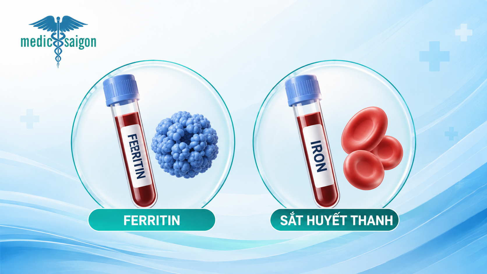 Phân biệt xét nghiệm ferritin và sắt huyết thanh