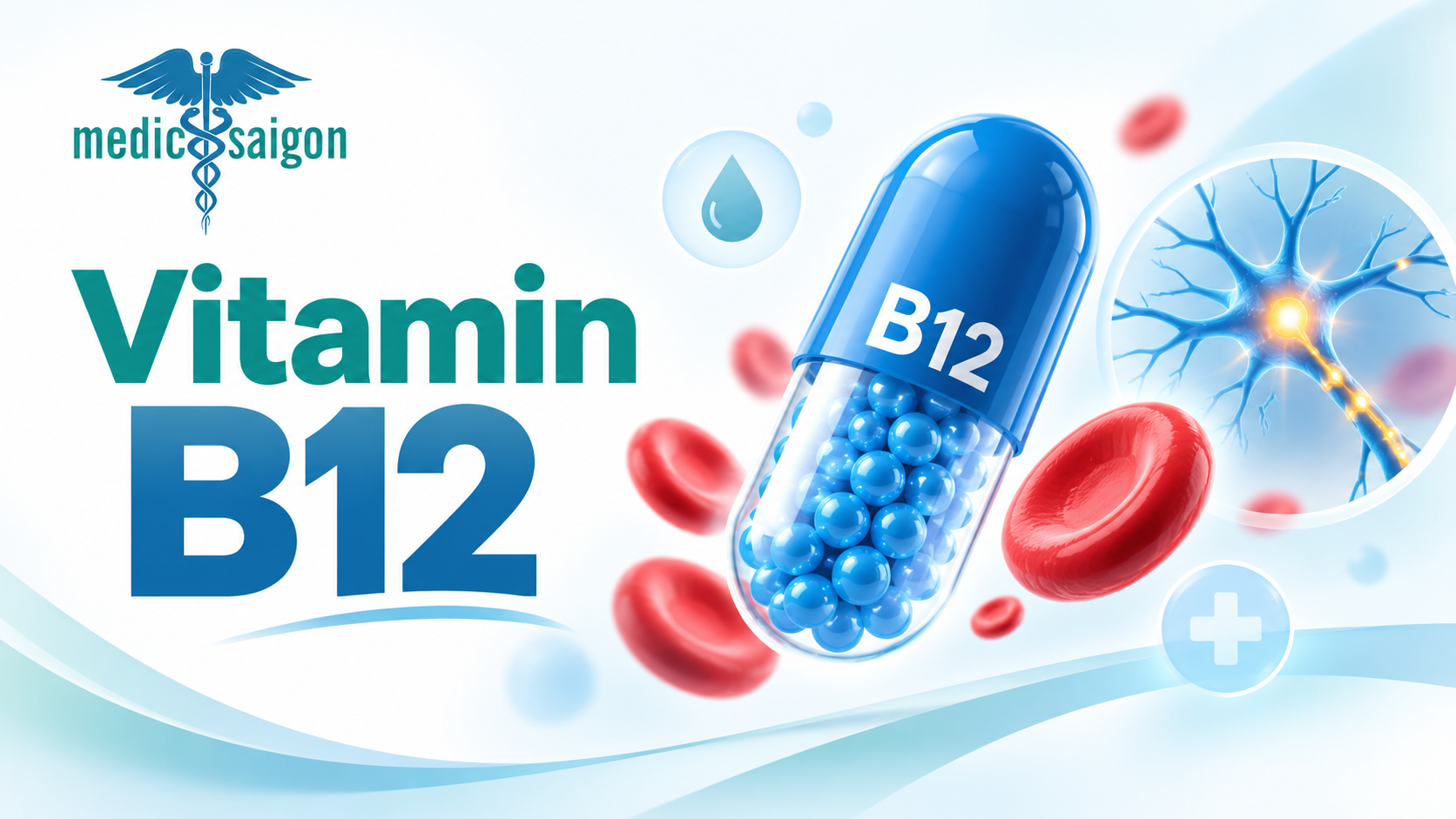 Khái niệm vitamin B12 và xét nghiệm vitamin B12