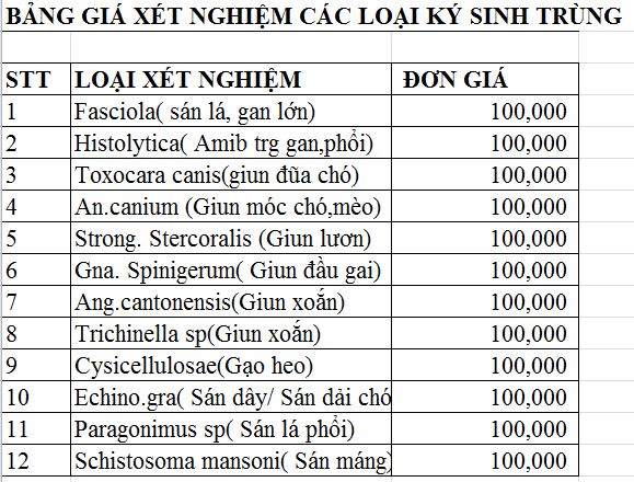 Nhiễm Ký Sinh Trùng Chó Mèo: Nguyên Nhân, Tác Hại Và Cách Phòng Ngừa