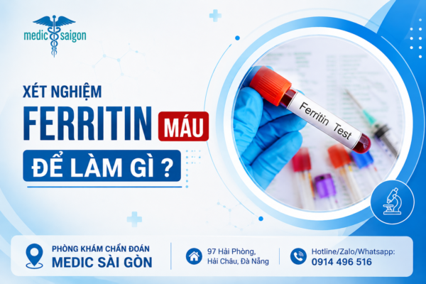 Xét nghiệm Ferritin máu để làm gì
